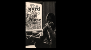 The Byrd Who Flew Alone Gene Clark